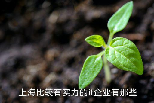  上海比較有實力的it企業有那些