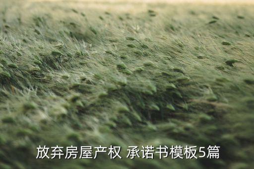銀行放棄抵押權承諾書,放棄抵押權承諾書是什么意思