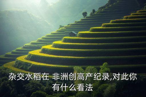 雜交水稻在 非洲創高產紀錄,對此你有什么看法