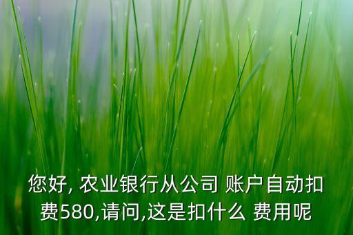 您好, 農業銀行從公司 賬戶自動扣費580,請問,這是扣什么 費用呢