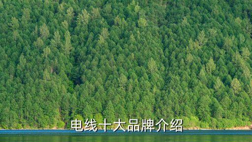 上海南洋電纜集團(tuán)總經(jīng)理,新加坡南洋國際集團(tuán)總經(jīng)理