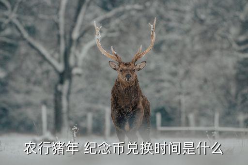 珠海農業銀行紀念幣,農業銀行紀念幣2023