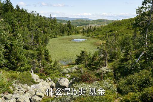 分級基金b交易規則,511360基金交易規則