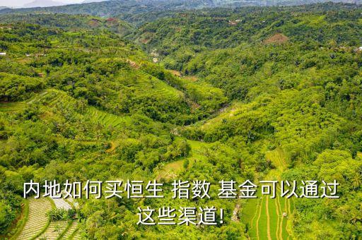 內地如何買恒生 指數 基金可以通過這些渠道!