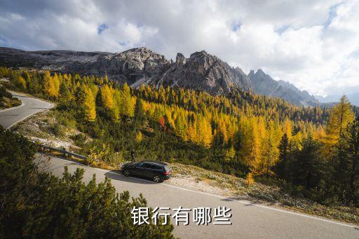 浦發投資銀行