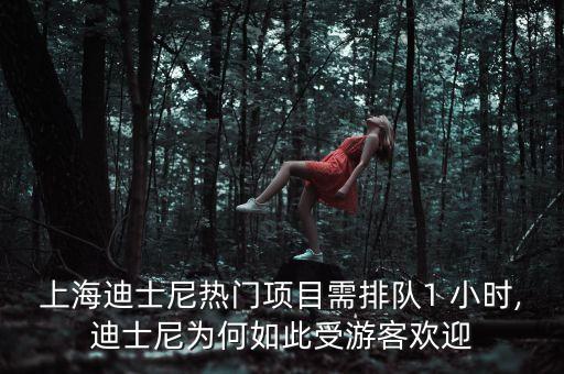 上海迪斯尼開門一小時人數破萬