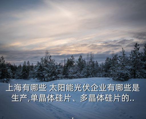 上海有哪些 太陽能光伏企業有哪些是生產,單晶體硅片、多晶體硅片的...