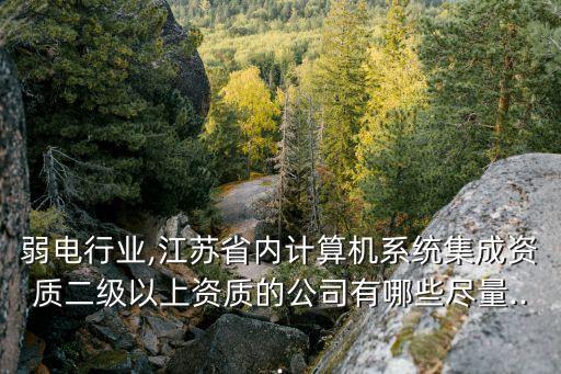 弱電行業,江蘇省內計算機系統集成資質二級以上資質的公司有哪些盡量...