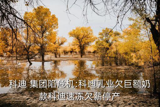 科迪 集團陷危機:科迪乳業欠巨額奶款科迪速凍欠薪停產