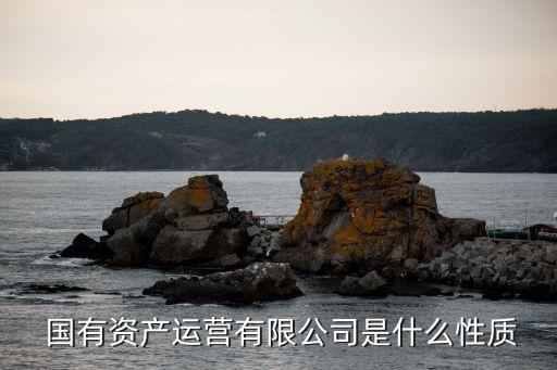 蘇州高新區國有資產經營公司募集說明書