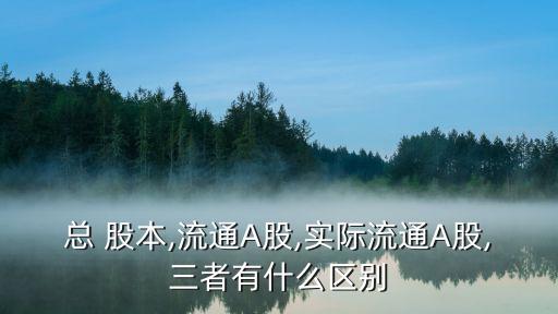 總 股本,流通A股,實際流通A股,三者有什么區別