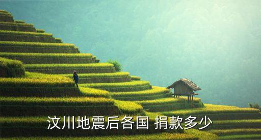 中國向外國捐款的總數,外國有沒有給中國捐款