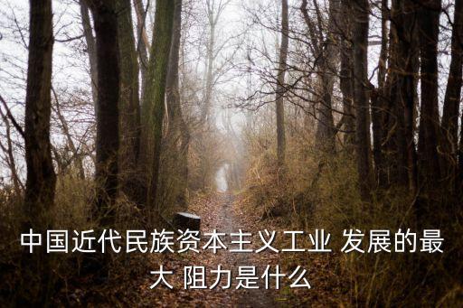 中國經濟發展的阻力,經濟發展有阻力