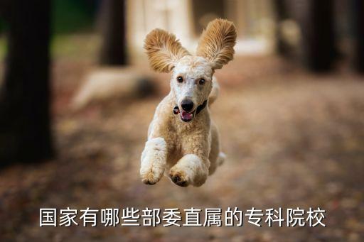 國家有哪些部委直屬的?？圃盒? class=