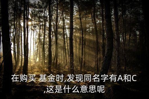 在購買 基金時,發現同名字有A和C,這是什么意思呢