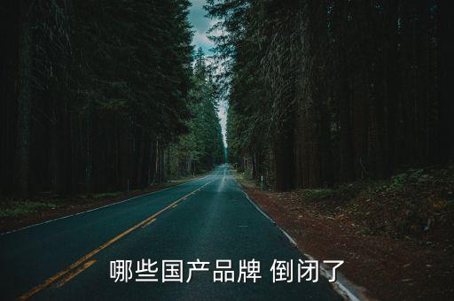 哪些國產品牌 倒閉了