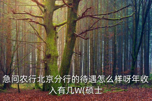 中國農業銀行塔城分理處工資怎么樣