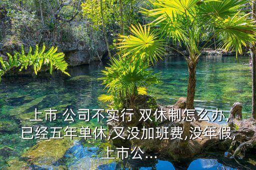  上市 公司不實行 雙休制怎么辦,已經五年單休,又沒加班費,沒年假, 上市公...
