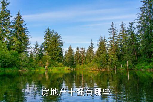 房地產十強有哪些