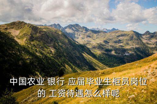 銀行應屆生工資,銀行系統維護應屆生工資