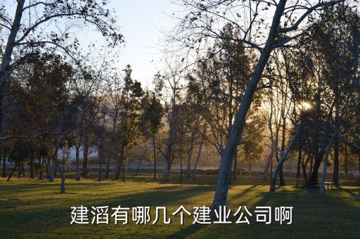  建滔有哪幾個建業公司啊