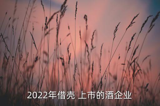 上海中醬酒業有限公司香港上市,上海巴克斯酒業有限公司