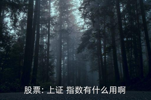 結合上證指數(shù)談談對投資的看法