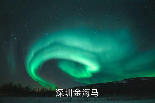 全球互聯網基金000988,嘉實全球互聯網基金