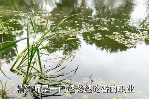  精算師是一門越老越吃香的職業