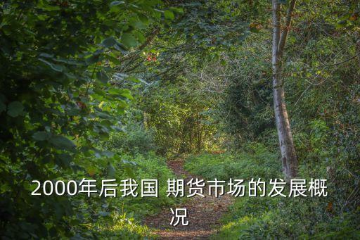 上海期貨行業的現狀,期貨行業發展現狀及未來前景