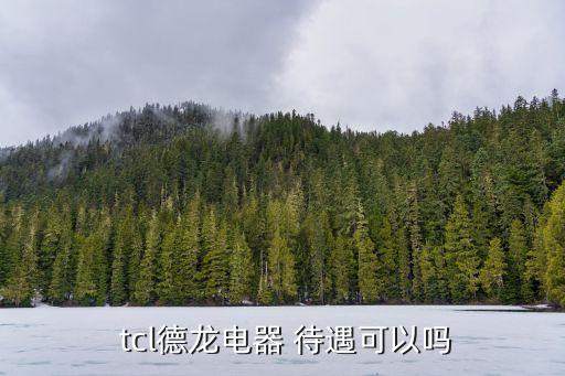 tcl醫療集團待遇,深圳tcl集團待遇怎么樣