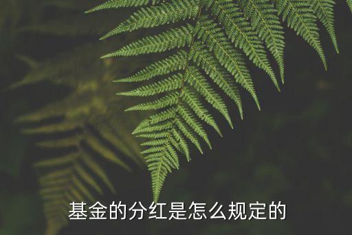  基金的分紅是怎么規定的