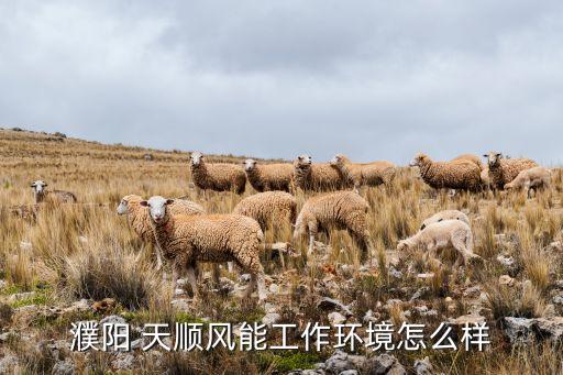 濮陽 天順風能工作環境怎么樣