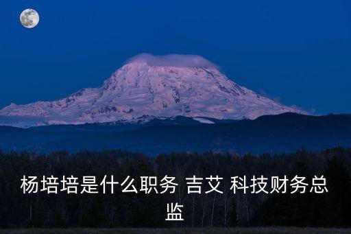 楊培培是什么職務 吉艾 科技財務總監