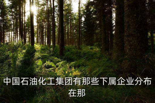 中國石油化工集團有那些下屬企業分布在那