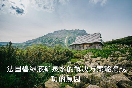 法國創新公司