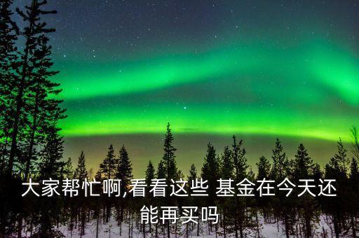 大家幫忙啊,看看這些 基金在今天還能再買嗎