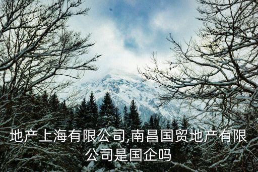 國貿地產上海有限公司,南昌國貿地產有限公司是國企嗎