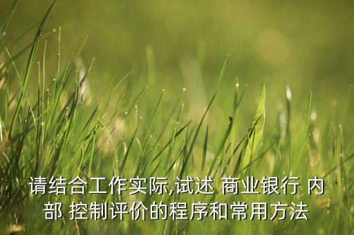 請結合工作實際,試述 商業銀行 內部 控制評價的程序和常用方法