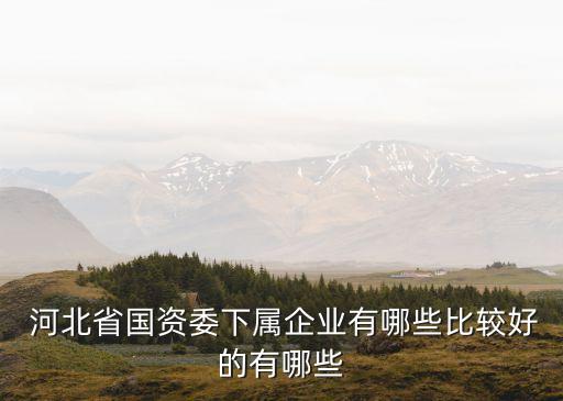  河北省國資委下屬企業有哪些比較好的有哪些