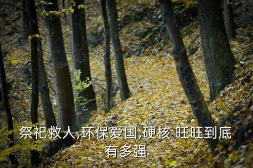 旺旺集團業績