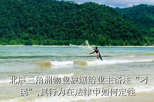  北辰三角洲物業被爆給業主備注“刁民”,其行為在法律中如何定性