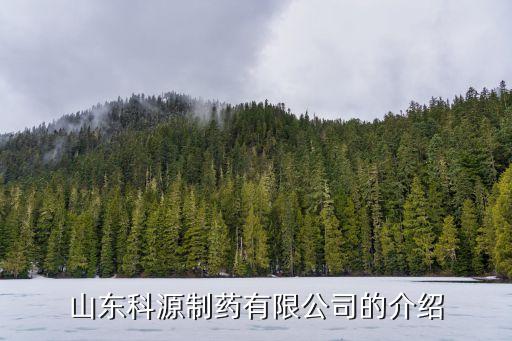 濟南力諾藥業集團,濟南藥業集團有限責任公司