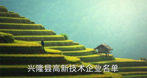 興隆縣高新技術企業名單