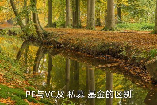 PE與VC及 私募 基金的區別