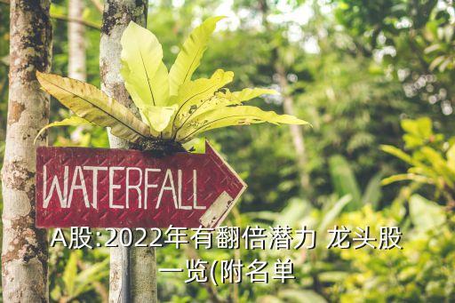 a股行業龍頭公司,a股儀器儀表行業龍頭