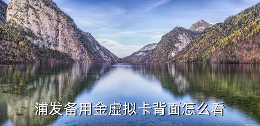 浦發備用金虛擬卡背面怎么看
