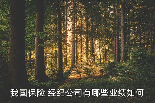 我國保險 經紀公司有哪些業績如何