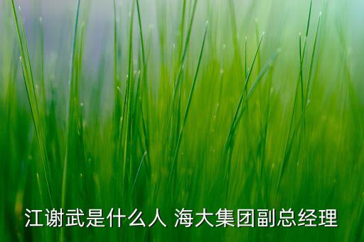 江謝武是什么人 海大集團副總經理