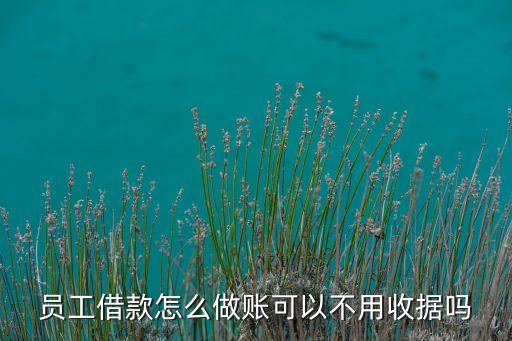 員工借款怎么做賬可以不用收據嗎